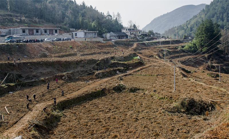 Z6��������ʱ���й����ٷ���վ