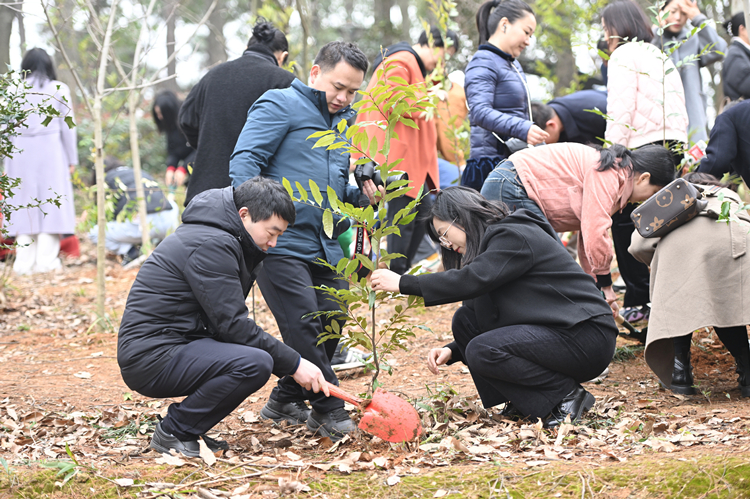 20240308137706.jpg DSC_7514_¸±±¾ (1).jpg