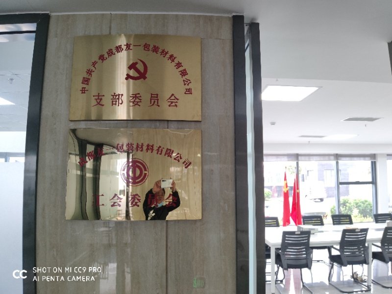 热烈祝贺GA黄金甲(中国)最新官方网站集团成都分公司党支部在2020年3月11日授牌成立，支部书记曹云(行政部经理)